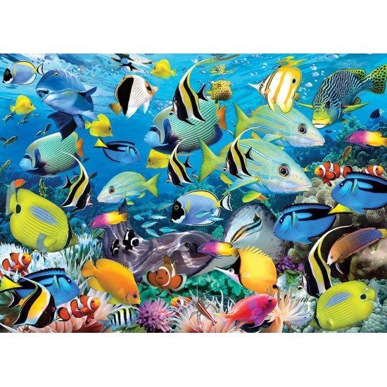 Ocean Colors by Howard Robinson
